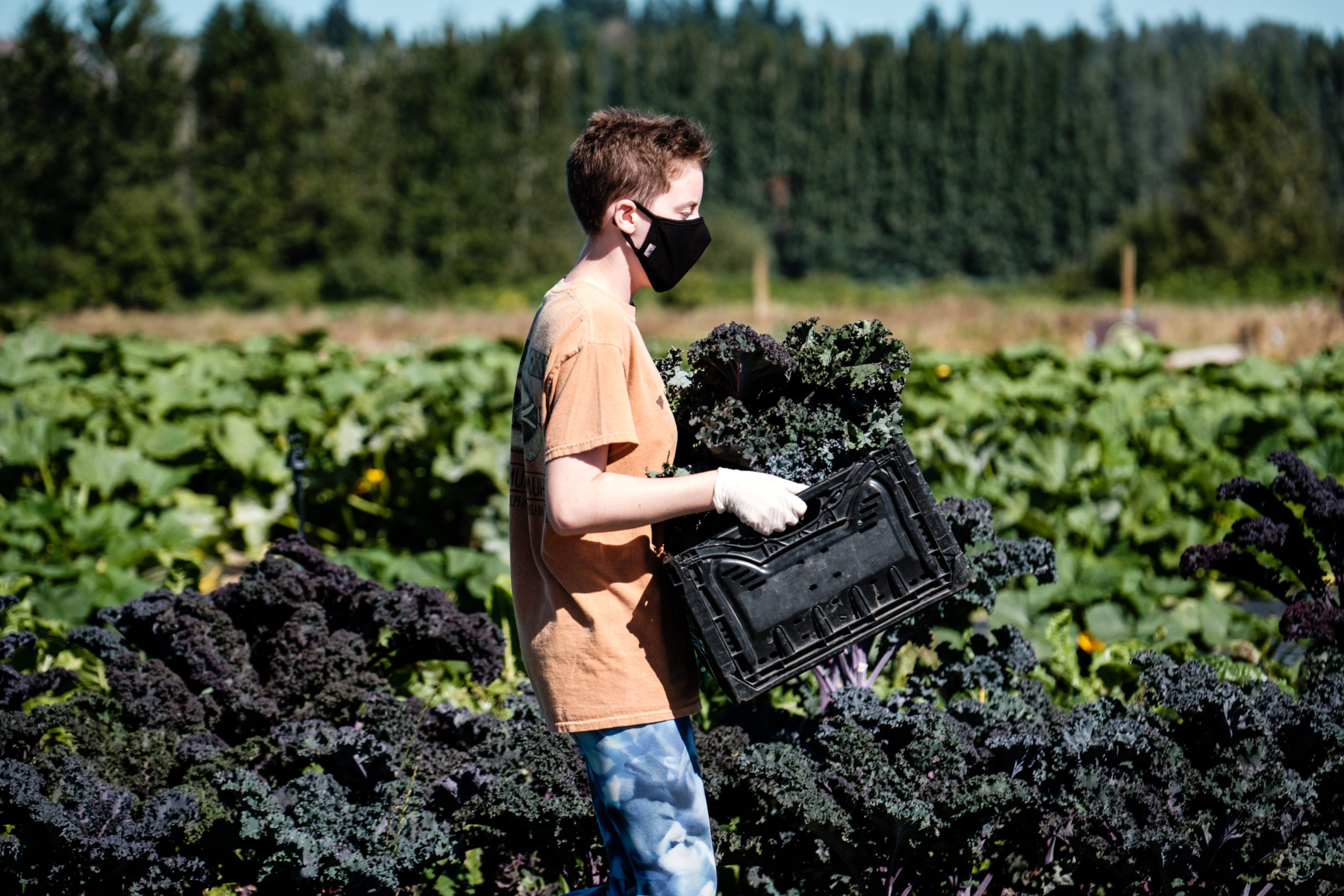Sammamish Valley Farm Worker